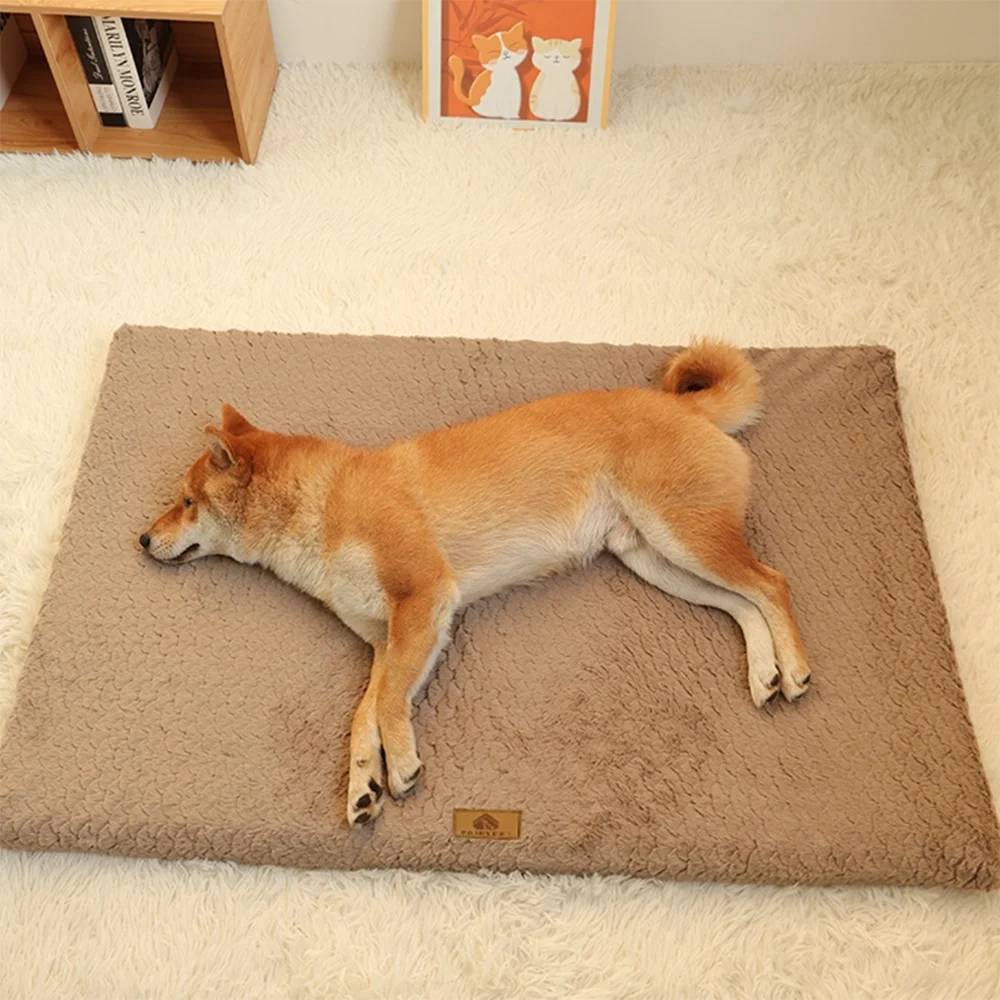 PawSteady Rest Bed — Orthopedic Memory Foam Bed for Senior Dogs