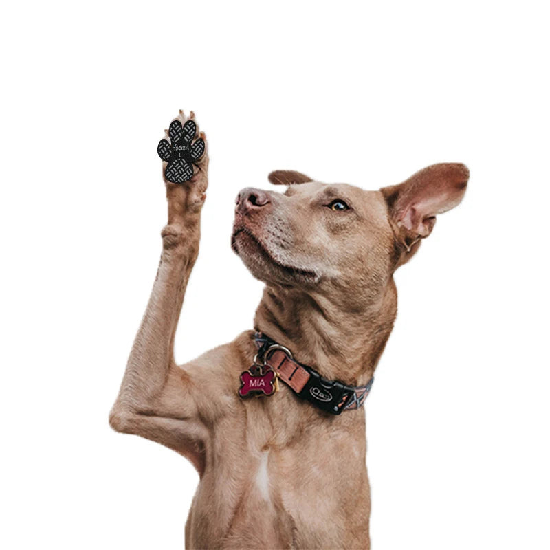 PawSteady Grip Pads: Non-Slip Traction Pads for Dogs
