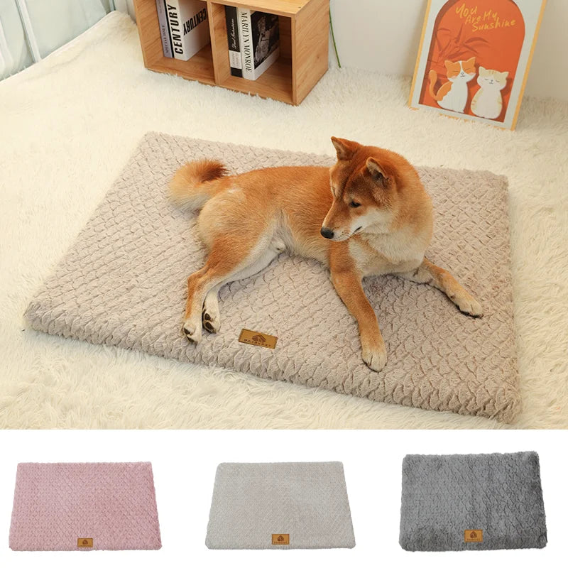 PawSteady Rest Bed — Orthopedic Memory Foam Bed for Senior Dogs