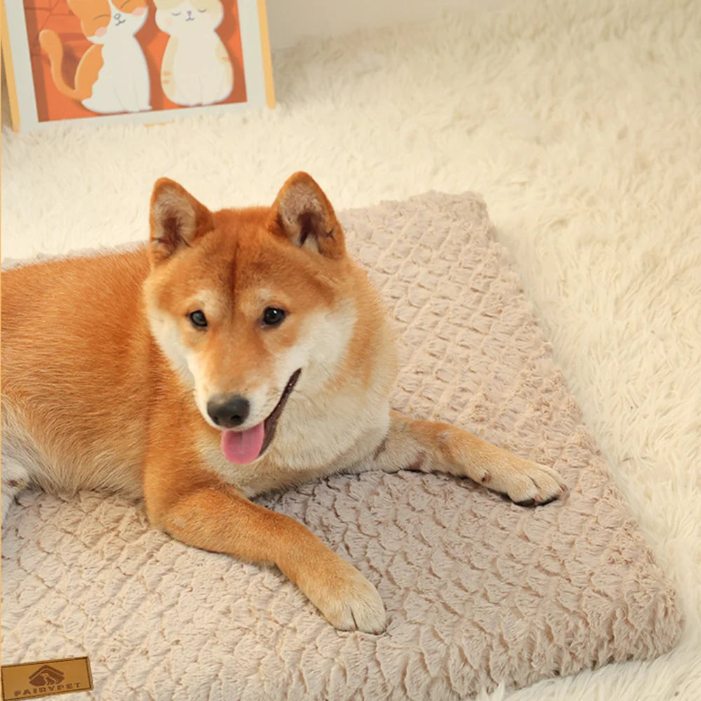 PawSteady Rest Bed — Orthopedic Memory Foam Bed for Senior Dogs
