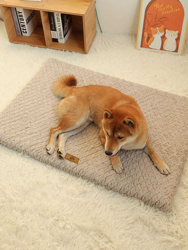 PawSteady Rest Bed — Orthopedic Memory Foam Bed for Senior Dogs