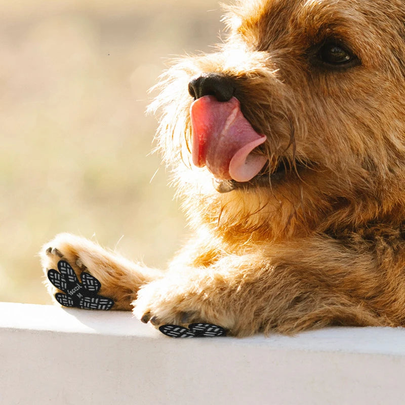 PawSteady Grip Pads: Non-Slip Traction Pads for Dogs