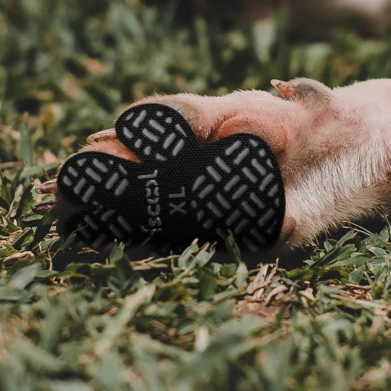 PawSteady Grip Pads: Non-Slip Traction Pads for Dogs
